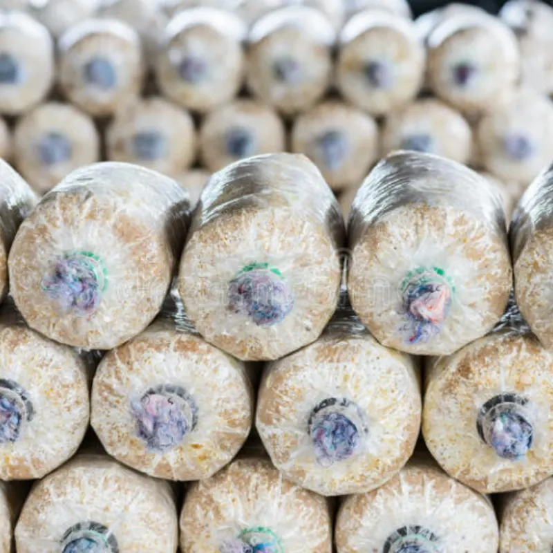 Mushroom baglog bags