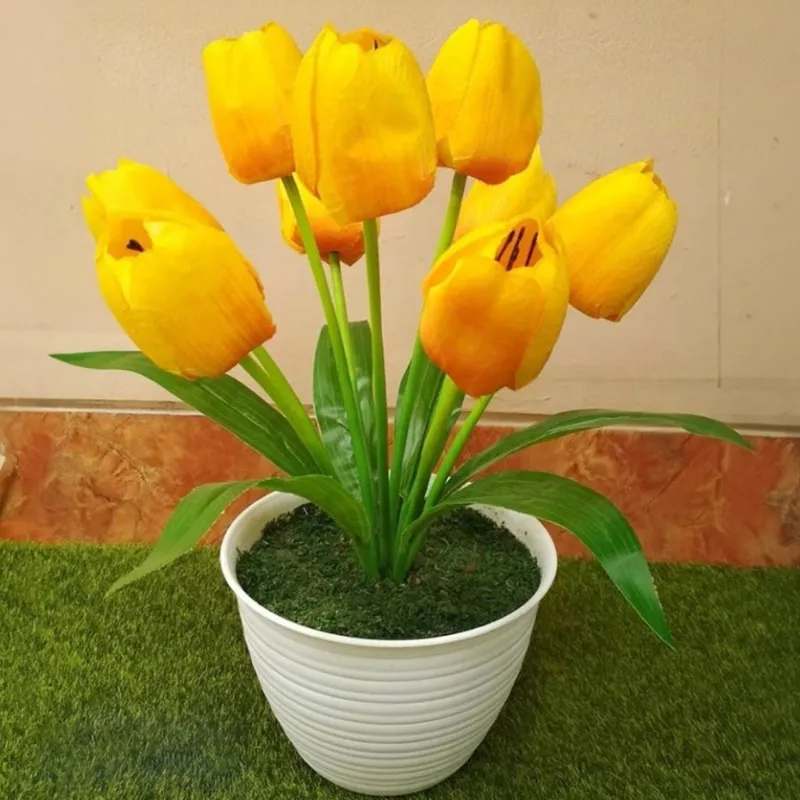 Gessler Houseware - foto 2