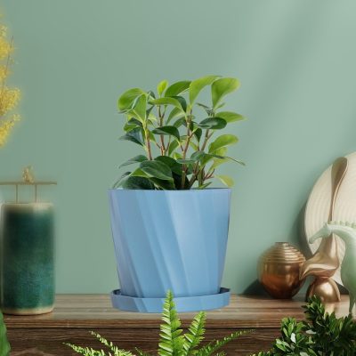 Twist Plot Blue Gessler CSB